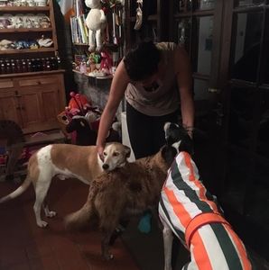 Meet your Posher, Ashley